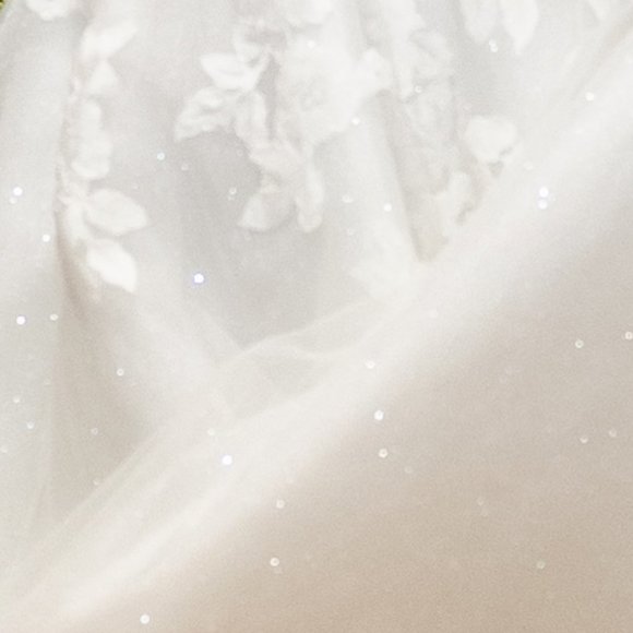 Hayley Paige Scout Wedding Gown Style #12100 - Picture 14 of 16